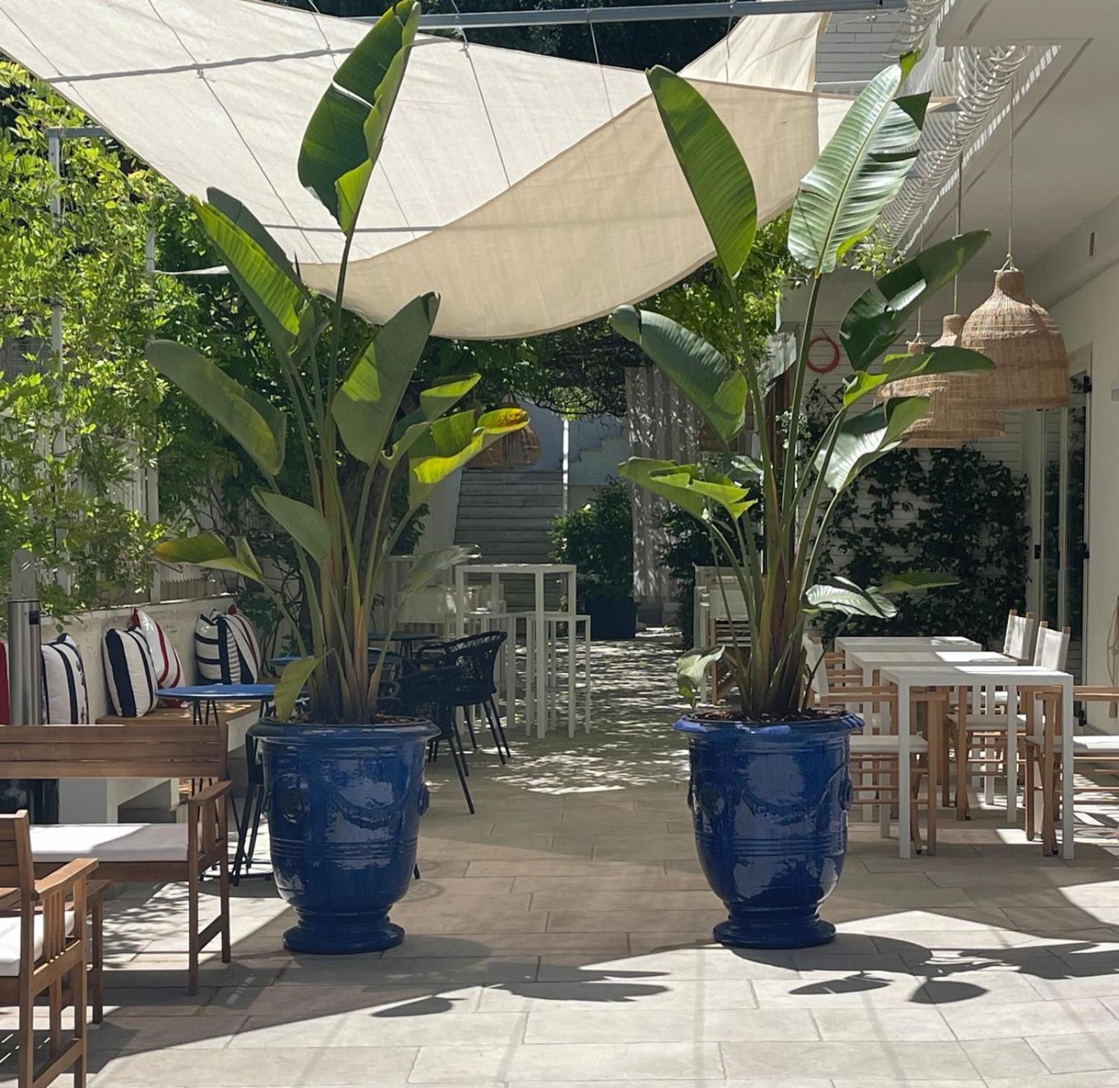 Mure Hotel Нумана Екстериор снимка